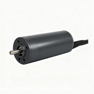 <span class=keywords><strong>Motor</strong></span> de CC sin Núcleo de 24 V, 22 mm de Diámetro, 15000 rpm, 50 mNm, Alta Densidad de Potencia, Bajo Ruido, para Herramientas Eléctricas, Venta Directa de Fábrica - Product Image 3