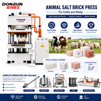 Ligne de machines de pressage de blocs de sel minéral pour animaux pour blocs de sel de 2 kg, 5 kg, 10 kg, 20 kg, 25 kg