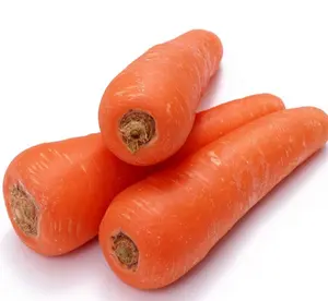Zanahoria fresca de China (nueva cosecha en mayo)