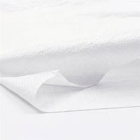 Sac tissé en PP transparent de taille personnalisable 50 kg 20 kg 10 kg pour ciment, farine, engrais, maïs, thermoscellé, gaufré, recyclable