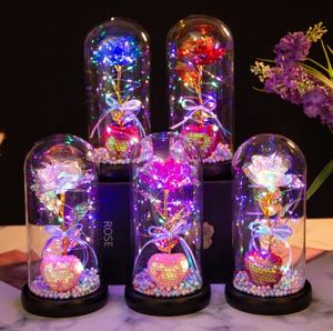 Amore <span class=keywords><strong>romantico</strong></span> all'ingrosso rosa incantata in cupola di vetro con luce a LED anniversario san valentino miglior <span class=keywords><strong>regalo</strong></span> <span class=keywords><strong>per</strong></span> <span class=keywords><strong>lei</strong></span> - Product Image 2