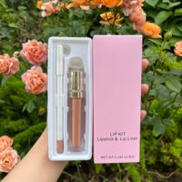 Rouge à lèvres liquide mat vegan imperméable longue tenue anti-transfert 30g, marque privée, vente en gros, Noël, offre spéciale