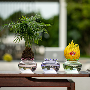 Florero de Vidrio Estilo Chino, Recipiente para Plantas Hidropónicas, Vidrio de Borosilicato de Alta Calidad, Decoración de Escritorio con Vegetación - Product Image 2