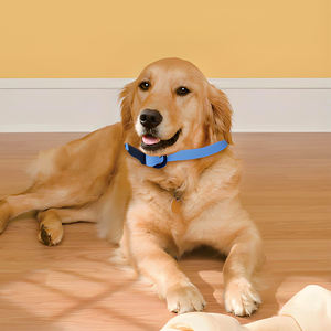 <span class=keywords><strong>Collar</strong></span> largo de silicona personalizado para mascotas, correa de perro resistente al agua, disponible - Product Image 3