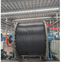 Cable de Alimentación de Bajo Voltaje DaDi de un Solo Núcleo, 630 mm, Aislado con PVC, para Arquitectura, 0.6/1KV