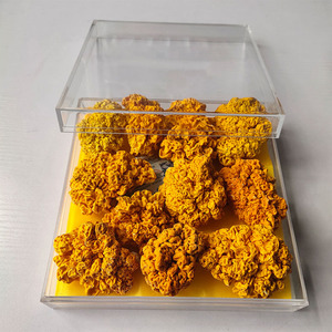 <span class=keywords><strong>Champignons</strong></span> Golden Ear en bois de tilleul, spécialité du Yunnan, provenant des montagnes profondes, jaunes, lyophilisés/séchés, 1 kg, produits agricoles comestibles - Product Image 2