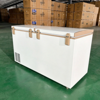 Congélateur vertical commercial à température unique pour supermarché, économe en énergie, refroidisseur de viande, réfrigérateur à double porte pour stockage de glace
