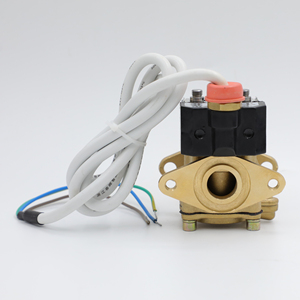 โซลินอยด์ความแม่นยำสูง 12V/24V/220V/380V สำหรับตู้จ่ายน้ำมัน - Product Image 1