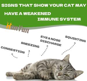 Hanyun Pet Immune Support Gel Suplemento <span class=keywords><strong>de</strong></span> pasta nutricional Promueve el sistema inmunológico con L-lisina para gatos - Product Image 3