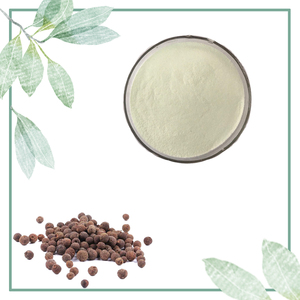 High Quality Black <strong>Pepper</strong> Extract Powder Food Grade Black <strong>Pepper</strong> Extract 95% Piperine