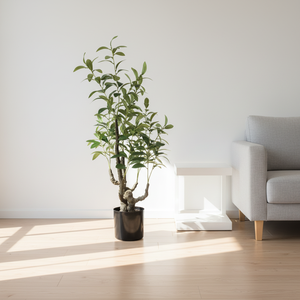 Offre Spéciale : Arbre Artificiel Cocotier Bonsaï sur Pied 165CM Vert Écologique Décoratif pour Bureau, Magasin, Restaurant, Parc - Product Image 5