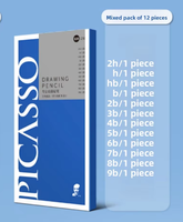 Crayons de dessin et d'esquisse pour artistes PICASSO 2H/H/HB/B/2B/3B/4B/5B/6B/7B/8B/9B, dureté mixte, 12 par boîte, en bois de tilleul, mine noire, numériques