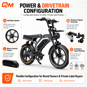 Bicicleta eléctrica de montaña QMWHEEL V20 Limited, 48V, bicicleta eléctrica todoterreno para adultos, fat bike, almacén en el extranjero, mayoristas, OEM, ODM - Product Image 1