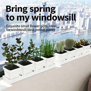Pots à plantes succulentes carrés blancs avec plateau de drainage, pots de pépinière en <span class=keywords><strong>plastique</strong></span> <span class=keywords><strong>pour</strong></span> cactus, petites plantes, décoration de bureau à domicile - Product Image 1