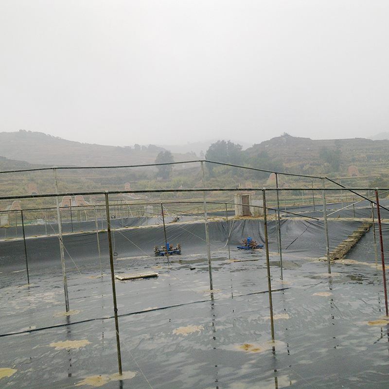 Хит продаж, полиэтиленовый вкладыш для пруда HDPE геомембранный аквакультурный инвентарь для рыбной фермы