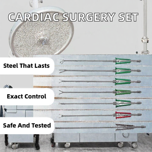 Conjunto de Instrumentos para Cirugía Cardíaca Mínimamente Invasiva, Herramientas Quirúrgicas Manuales de Acero Inoxidable para Uso Hospitalario - Product Image 2