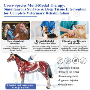Máquina Portátil Popular de Terapia de Ondas de Choque Focalizadas en Animales, Máquina de Ondas de Choque de Penetración Profunda para Uso Equino - Product Image 3