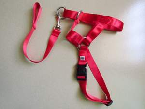 Bozales ajustables de nailon suave para perros, cómodos collares multicolores para entrenamiento antimordeduras para mascotas, duraderos y duraderos - Product Image 2