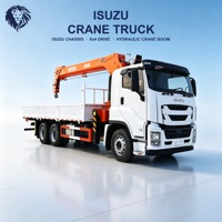Grue télescopique montée sur camion Isuzu 4x2 de 10 à 15 tonnes avec grue de chargement