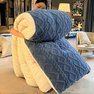 Tốt Nhất Bán Hai Mặt Taffeta Quilt Fluffy Dày Nhung <span class=keywords><strong>Comforter</strong></span> Mềm Da Thân Thiện Polyester Cho Nhà Khách Sạn Mùa Đông - Product Image 3