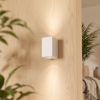 Applique murale LED 2*5W IP65 avec driver intégré, design compact, idéale pour l'extérieur, style moderne