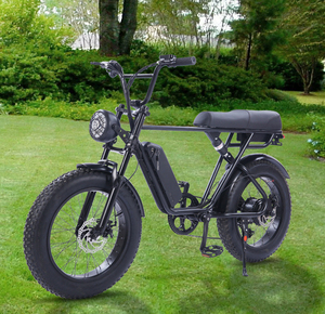 Bicicleta de Montaña eléctrica con batería de litio para hombre adulto, bici ancha de 500w, para nieve, 20 <span class=keywords><strong>e</strong></span>, suspensión completa - Product Image 5