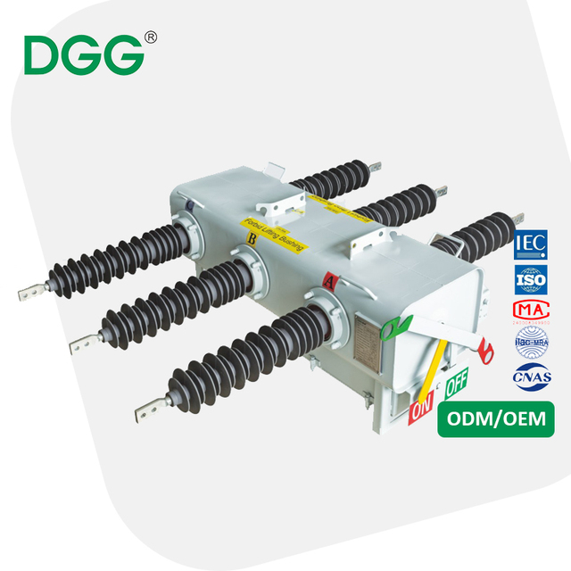 DGG LBS Load Break Switch 10kV 12kV 24kV 630A 1250a  SF6 Circuit Breaker for Outdoor Use 11/24/36kV