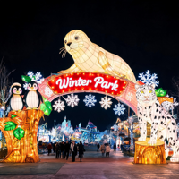 Maßgefertigte Zigong Laterne Seelöwen-Bogen Kulisse Große Outdoor-LED Winterfest-Dekoration Laterne für Freizeitparks und Feiertagsevents