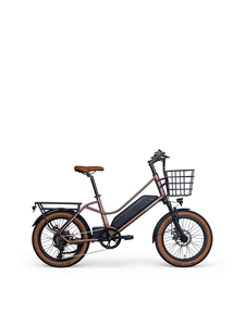 Bicicleta Eléctrica Urbana <span class=keywords><strong>EZREAL</strong></span> de 350W, 20 Pulgadas, Motor Trasero, 36V, Vehículo de Reparto Electrónico Inteligente, Batería Integrada de 14Ah - Product Image 4
