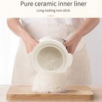 Cuisinière à riz électrique mini 1 tasse 1 litre, machine à soupe, cuisinière électrique en céramique 110V, mijoteuse, cuisinière à riz coréenne