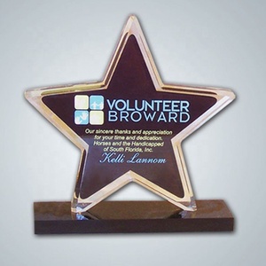 รางวัลอะคริลิคที่กำหนดเอง/โรคระบาด/เหรียญ/การรับรู้ของบริการที่มีชื่อเสียง - Product Image 3