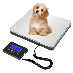 High-Precision Digital Postal Shipping Scale 180Kg 200kg Hidden Wall Mounted Display Electronic Pet Weighing Scale Luggage Scale