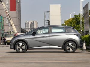 <span class=keywords><strong>Auto</strong></span> <span class=keywords><strong>usate</strong></span> in vendita 2024 Byd delfino Ev serie oceano 400 Km nuova energia Mini <span class=keywords><strong>auto</strong></span> elettrica bd vendita calda 5 posti Suv - Product Image 4