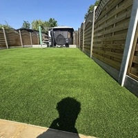 Gazon artificiel en polypropylène Always Green Grass, écologique, haute densité, ignifuge, moderne, pour la décoration murale intérieure, paysage artificiel, 5