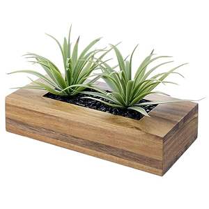Plantas de Césped Artificial en Maceta Decorativa de <span class=keywords><strong>Madera</strong></span> Maciza de Acacia de Lujo, Vegetación Artificial en Contenedor Rectangular de <span class=keywords><strong>Madera</strong></span> - Product Image 1