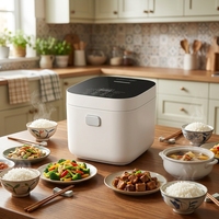 Cuisinière multifonction numérique 3L, cuiseur à riz en acier inoxydable sans revêtement, commande tactile intelligente, panneau en verre, personnalisable