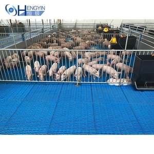 Caisses <span class=keywords><strong>de</strong></span> pépinière durables galvanisées à chaud pour porcs, meilleure <span class=keywords><strong>vente</strong></span> <span class=keywords><strong>d</strong></span>'équipement agricole - Product Image 4