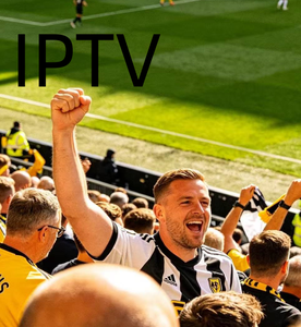 Boîtier TV intelligent Cineview Infinity GT-7700 Pro <span class=keywords><strong>Plus</strong></span> 8K <span class=keywords><strong>IPTV</strong></span> WiFi 6 - Product Image 6