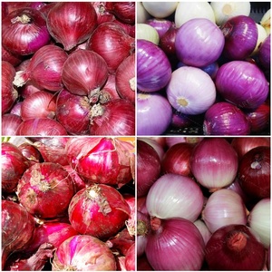 Máquina peladora de cebolla Máquina peladora de ajo y comercio Máquina peladora de cebolla - Product Image 6