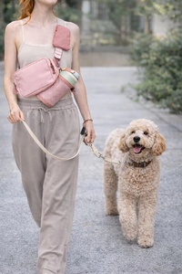 Bolsa de Cintura Personalizada de Nailon Impermeable para Pasear Perros, con Dispensador de Bolsas para Excrementos, Porta Botella de Agua, Bolsa para Mascotas, Bolsa para Golosinas para Perros - Product Image 2