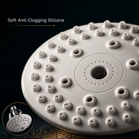 Pommeau de douche moderne rond à fixation supérieure, double fonction pluie et massage, haute pression, chromé, pour salle de bain
