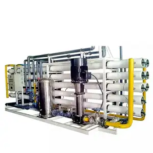 SWRO yüksek kaliteli deniz suyu arıtma sistemi dubleks çelik yüksek basınç pompaları