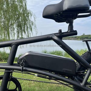 Tout nouveau tricycle électrique <span class=keywords><strong>couché</strong></span> 350w 3 roues Tricycle électrique <span class=keywords><strong>vélo</strong></span> avec batterie au Lithium <span class=keywords><strong>vélo</strong></span> électrique pour la livraison - Product Image 2