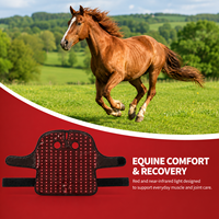 Casque de thérapie par lumière rouge pour chevaux, 660nm 850nm, thérapie par lumière rouge infrarouge pour chevaux
