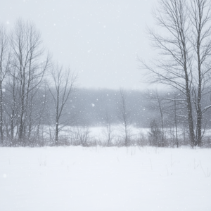 Veste d'hiver matelassée Captens pour femme, longue, en toile, à capuche, col montant, motif uni, coupe-vent, chaude et épaisse - Product Image 2
