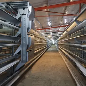 3 Tiers 4 Tiers Layer Chicken Egg Cage Battery Cages For Chicken Farm