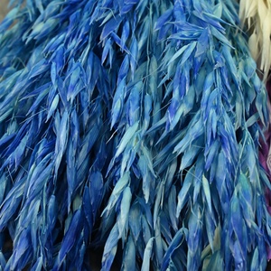 Fleur séchée 40g/<span class=keywords><strong>bouquet</strong></span> d'<span class=keywords><strong>épi</strong></span>s <span class=keywords><strong>de</strong></span> <span class=keywords><strong>blé</strong></span> et d'avoine, fleur éternelle écologique, décoration <span class=keywords><strong>de</strong></span> cadeau d'anniversaire, arrangement floral - Product Image 3