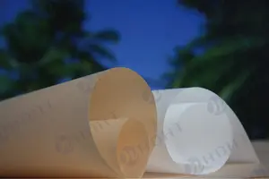 Rollo Jumbo biodegradable de pulpa de madera virgen 100% de alta calidad papel a prueba de aceite a prueba de grasa de grado alimenticio