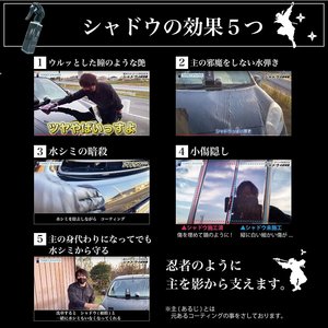 Vente en gros Japon Qualité NAGARA CARWASH P8-06 Professionnel Ombre Tout-en-Un Agent d'entretien Liquide de nettoyage Spray Entretien de la voiture - Product Image 4