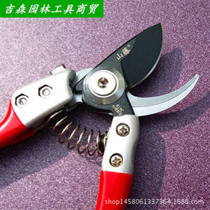 กรรไกรตัดแต่งกิ่งไต้หวัน รุ่น Mountain Wisteria ขนาด 18 มม. ทำจากสแตนเลส ดีไซน์แบบผีเสื้อ สำหรับตัดแต่งต้นไม้ผลไม้ - Product Image 4